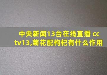 中央新闻13台在线直播 cctv13,菊花配枸杞有什么作用